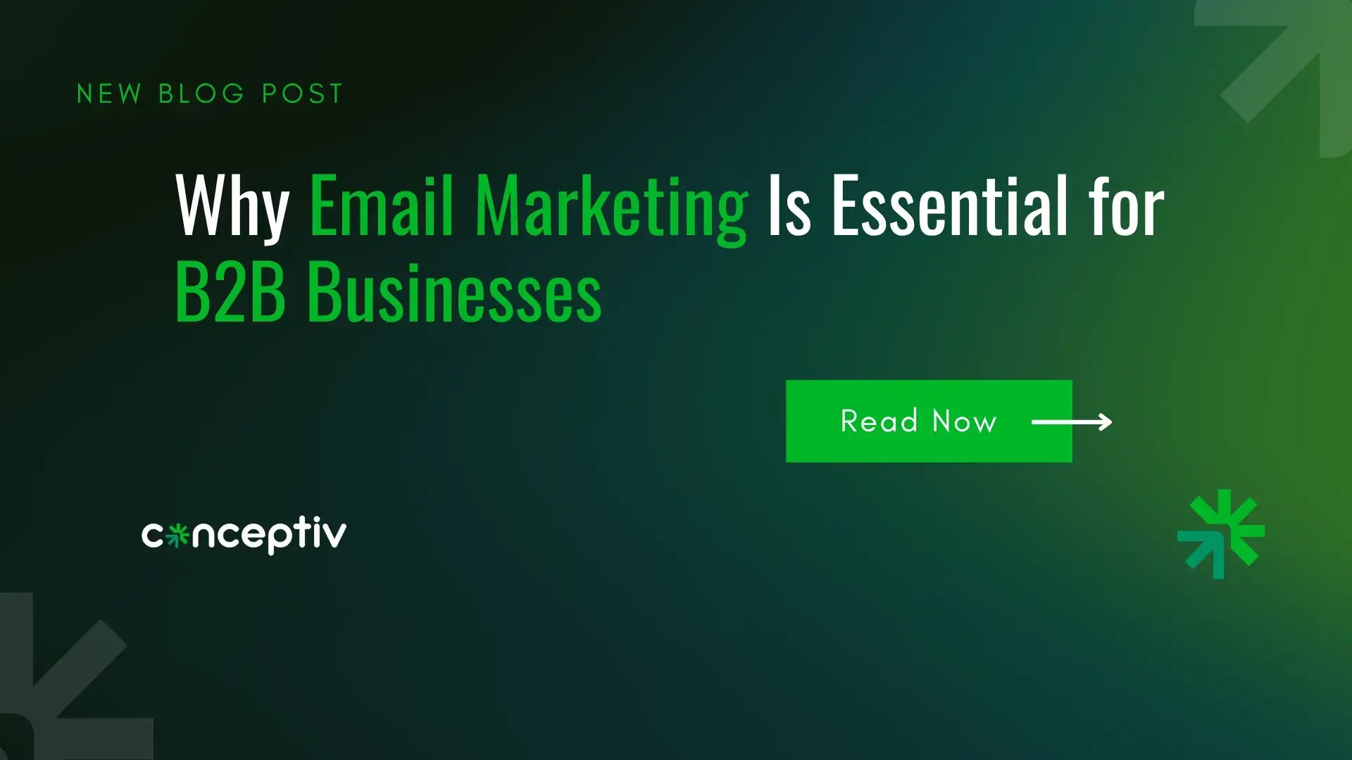 Why Email Marketing Is Essential for B2B Businesses